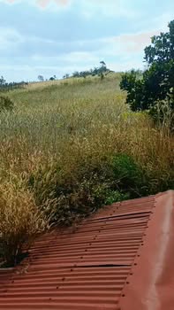 Đất nền 1,8ha xã Quảng Trực, Tuy Đức, Đắk Nông giá 1.6 tỷ - Cơ hội đầu tư tuyệt vời!