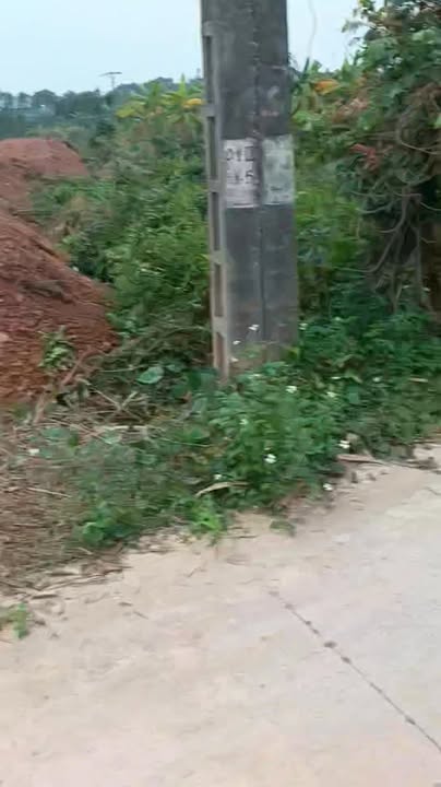 Đất thổ cư 1000m² tại Bắc Ninh giá chỉ 699 triệu - Cần bán gấp!