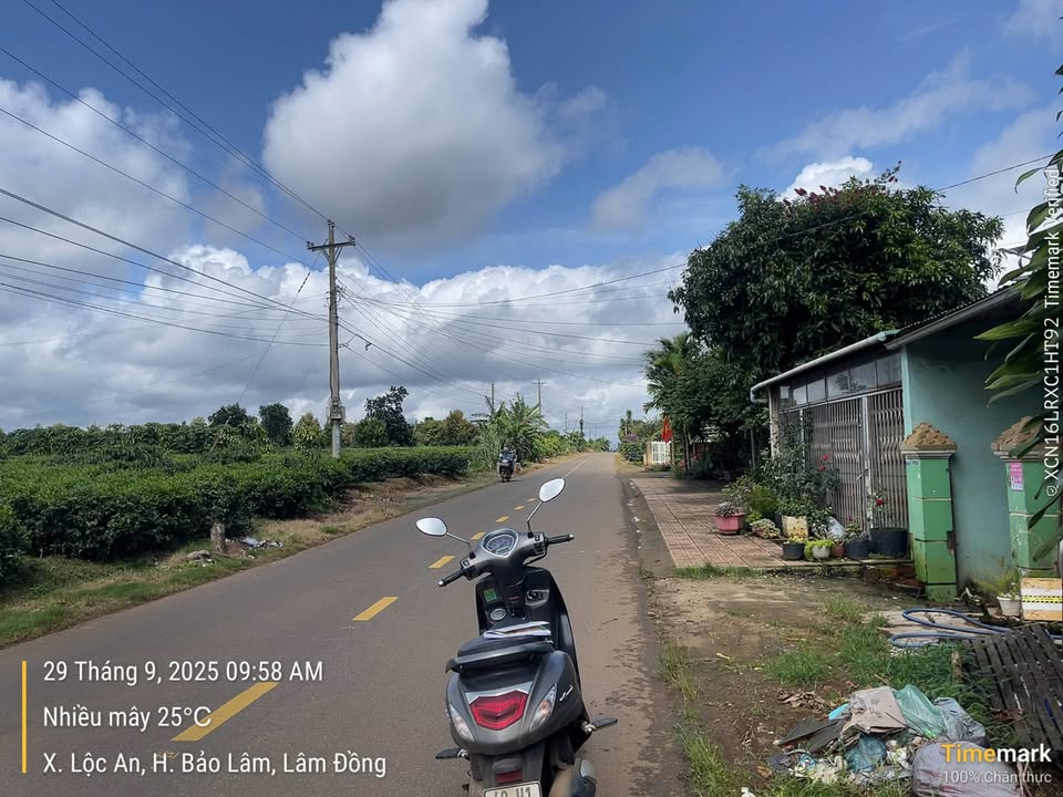 Đất Tứ Quý Lộc An 196m² giá 1.8 tỷ - Cơ hội đầu tư hiếm có!