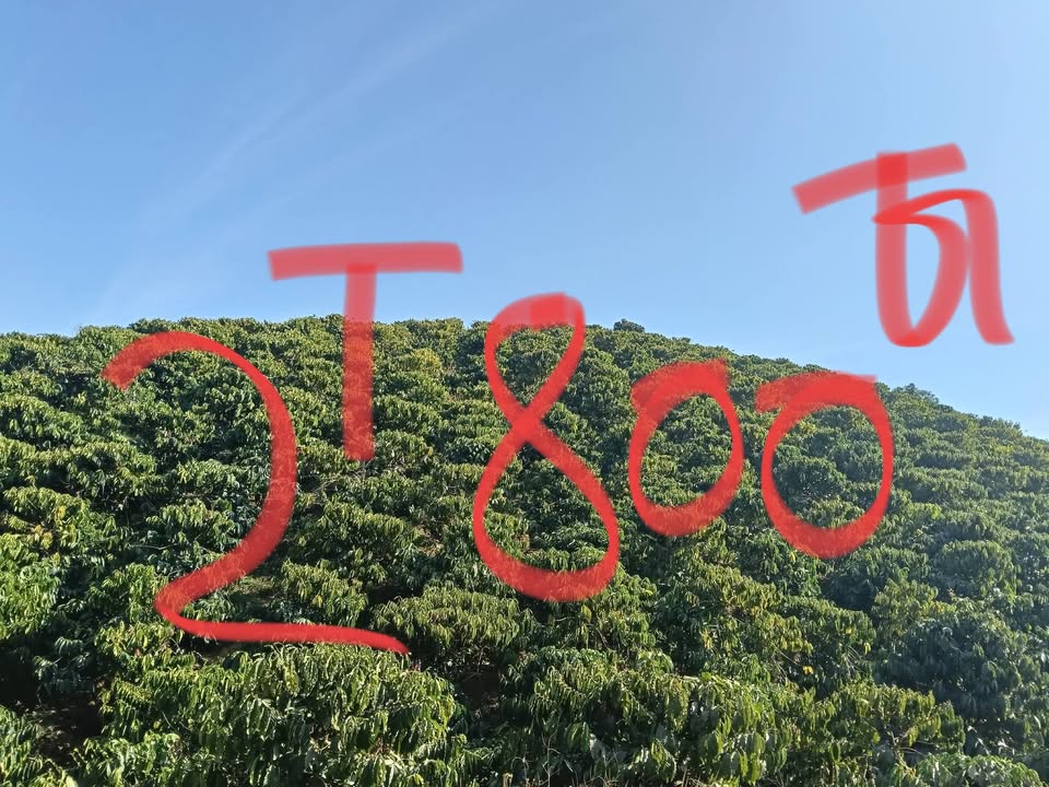 Đất nền Huyện Củ Chi 14,000m² giá 2.8 tỷ - Vị trí đẹp, tiềm năng phát triển!