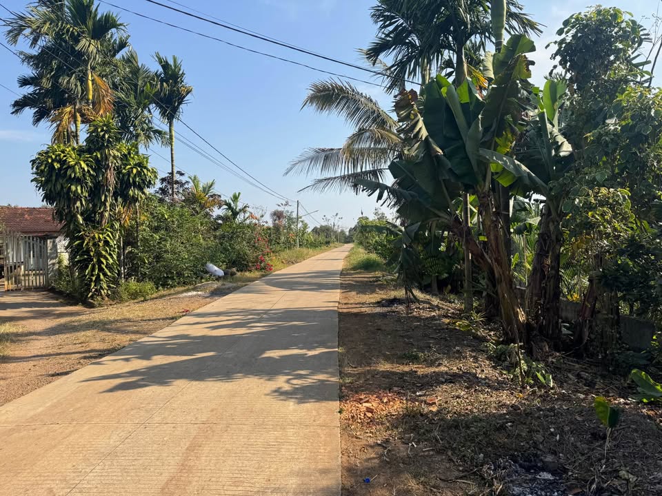 Đất nền Thôn 8 Tân Thanh Lâm Hà 1300m² giá 1.25 tỷ - Đầu tư sinh lời