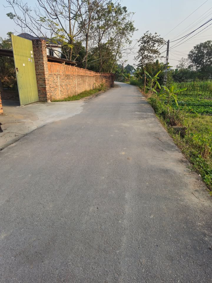 Đất thổ cư 100m² tại Yên Dương, Tam Đảo chỉ 1.3 tỷ - Đầu tư sinh lời ngay!