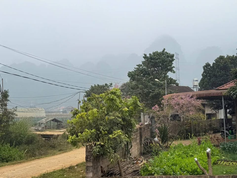 Đất vàng kinh doanh tại Mộc Châu 186,7m² giá 4,4 tỷ - Cơ hội đầu tư hấp dẫn!