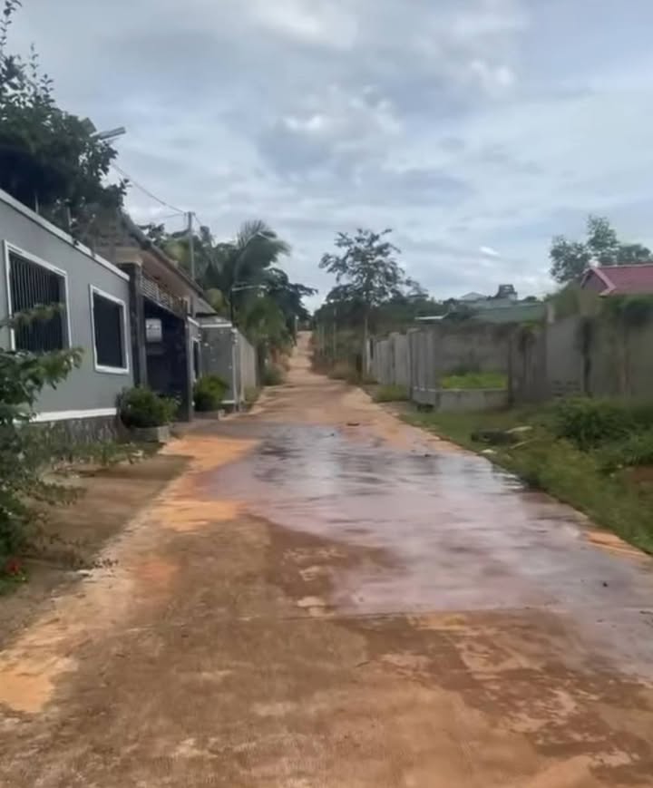 Đất mặt tiền Mực Tím, Phước Long, 1200m² giá 1.45 tỷ - Cơ hội đầu tư tuyệt vời!