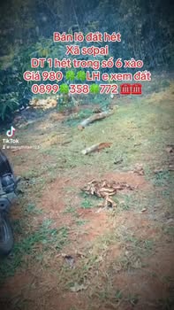 Lô đất Farm tại xã Sơ Pai, huyện KBang 3600m² giá 980 triệu - Cơ hội đầu tư hấp dẫn!