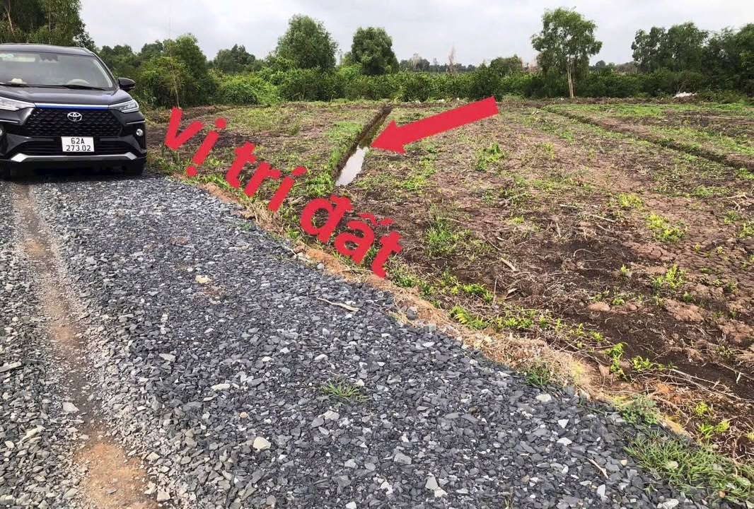 Đất thổ cư 500m² tại Thạnh Hòa, Bến Lức chỉ 369 triệu - Cơ hội đầu tư hấp dẫn!