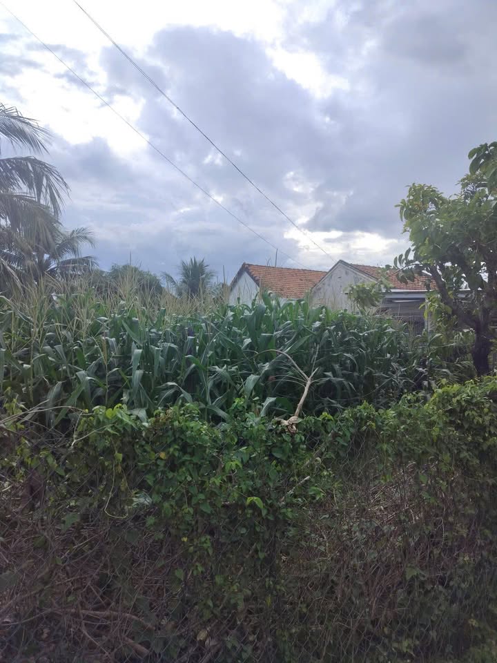 Đất mặt tiền đường 7, Ninh Sơn, 2118m² - Cơ hội đầu tư không thể bỏ lỡ!