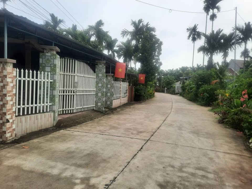 Đất nền Hành Dũng, Nghĩa Hành 180m² giá thỏa thuận - Tặng 40 cây cau đang thu hoạch!