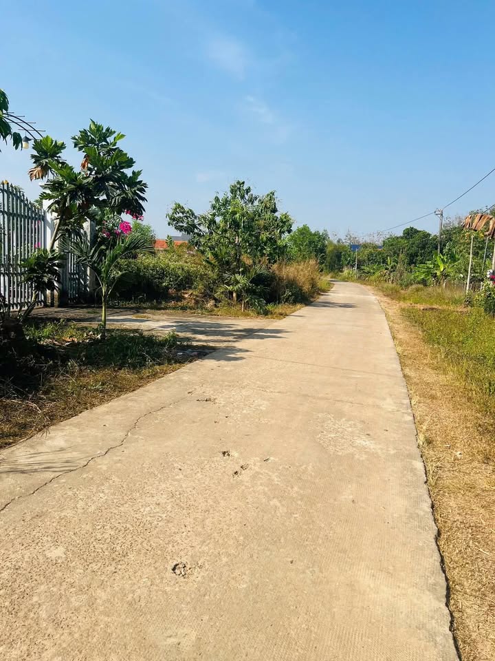 Đất nền 1200m² tại Ấp Suối Binh, Đồng Tiến - Giá chỉ 500 triệu!