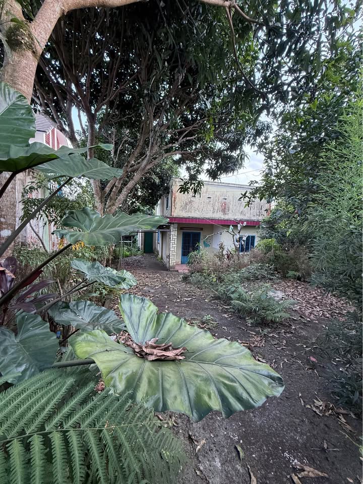 Đất nền 750m² tại phường 1 Bảo Lộc giá 9.2 tỷ - Tiềm năng đầu tư lớn!