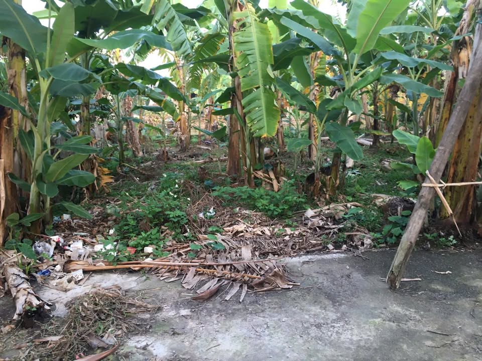 Bán đất Ninh Giang 90m² giá 300 triệu - Vị trí đẹp, sổ đỏ chính chủ!