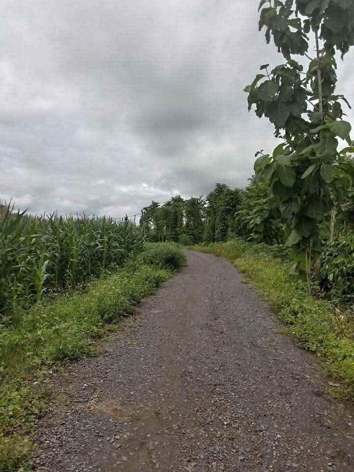 Đất thổ cư 660m² tại thôn Bình Hòa, Đắk Lắk giá chỉ 400 triệu - Cơ hội đầu tư hấp dẫn!