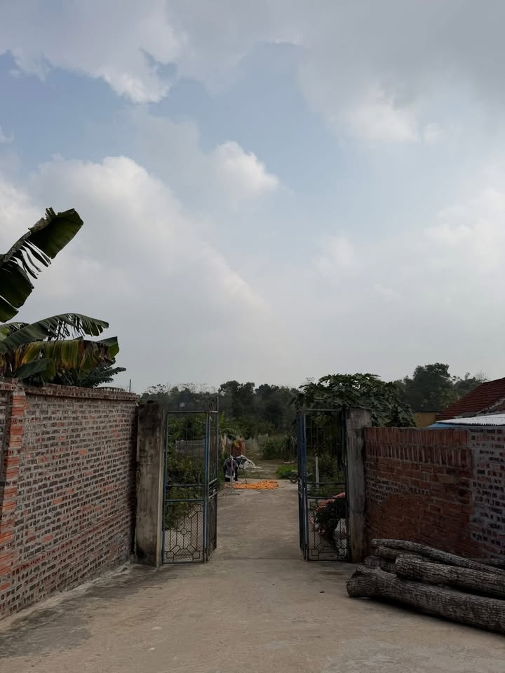 Đất thổ cư 100m² tại Xuân Lộc, Thanh Thủy - Giá chỉ 2 tỷ!