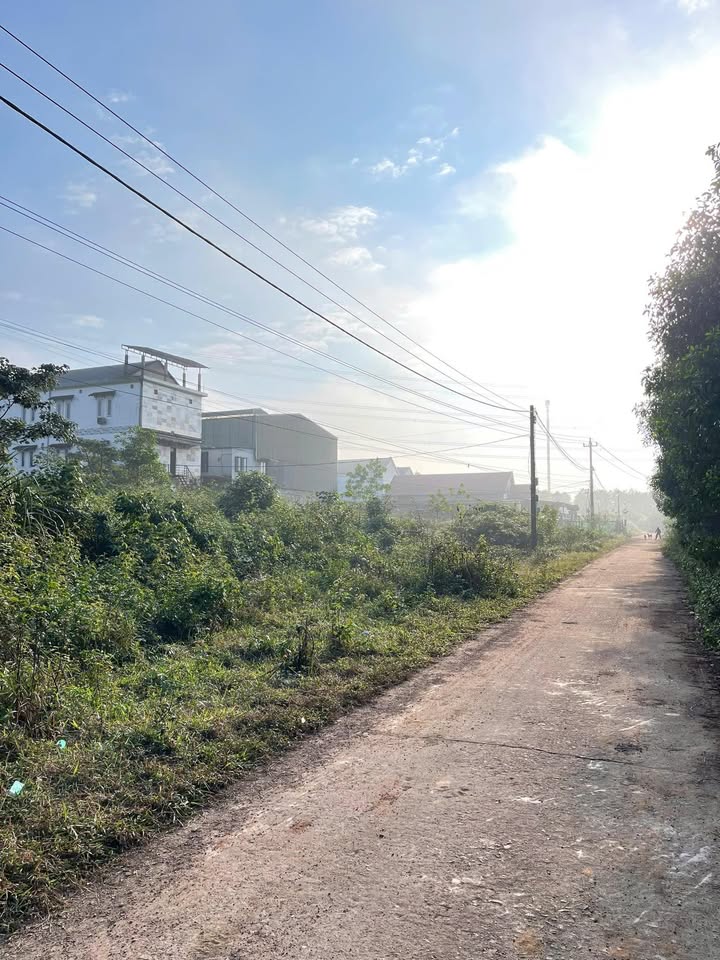 Đất nền Phong Mỹ, Huyện Phong Điền 425m² giá thỏa thuận - Đầu tư sinh lời ngay!