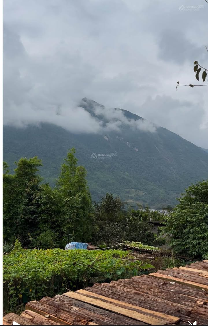 Đất thổ cư Tả Van 1700m² giá 1x tỷ - Cơ hội vàng cho homestay!