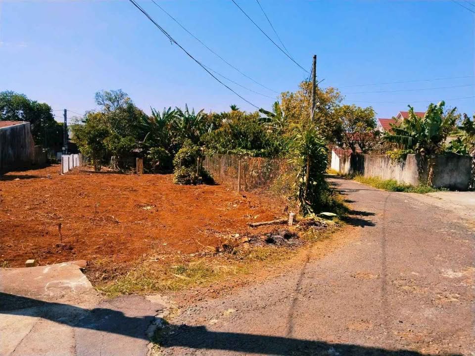 Đất nền hẻm 194 Trường Sơn, 125m² giá chỉ 800 triệu - Cơ hội đầu tư hấp dẫn!