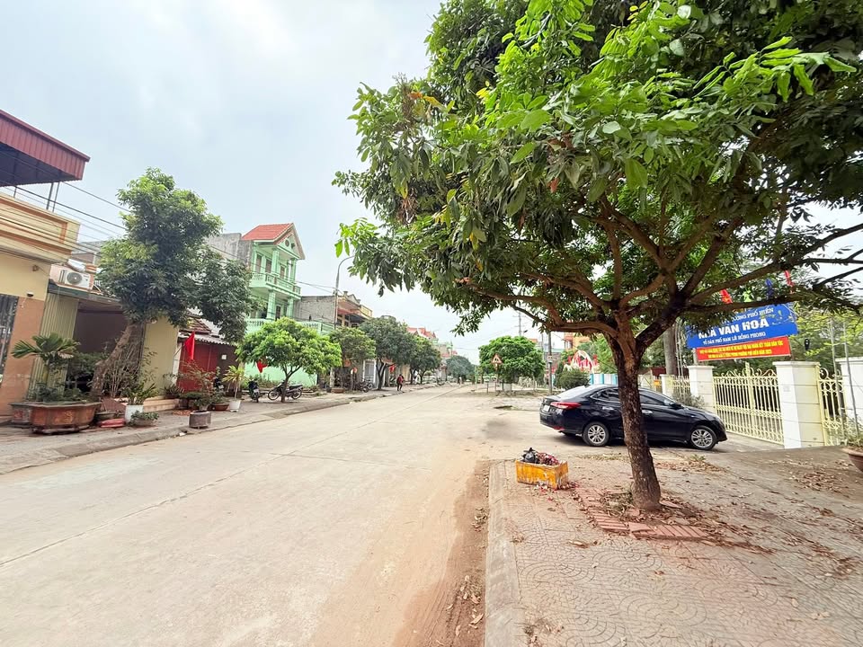 Lô đất vàng Bạch Đằng, Phố Hiến 69m² giá 3 tỷ - Sổ hồng chính chủ!