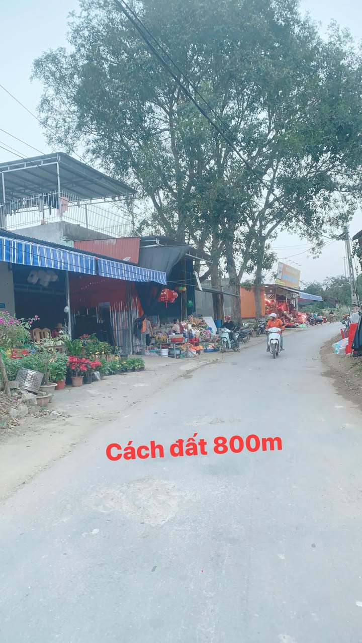 Đất liền kề Thọ Cường Triệu Sơn 150m² giá chỉ 200 triệu - Chân trời đầu tư lý tưởng!