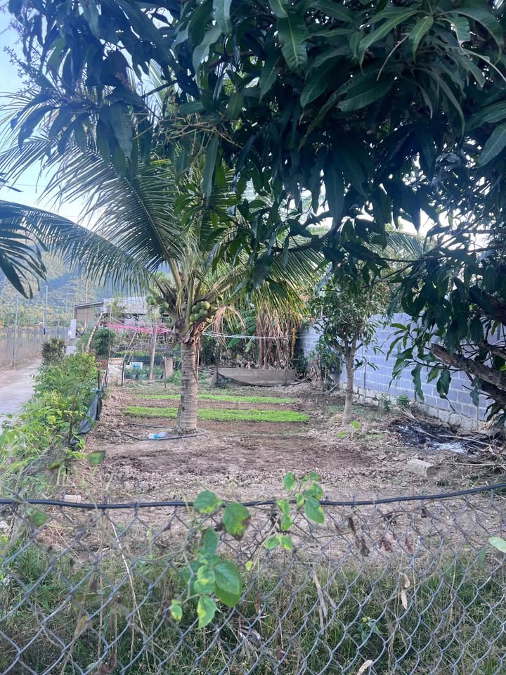 Đất thổ cư Xã Diên Toàn 200m² giá 2.4 tỷ - Cạnh bến xe phía Nam