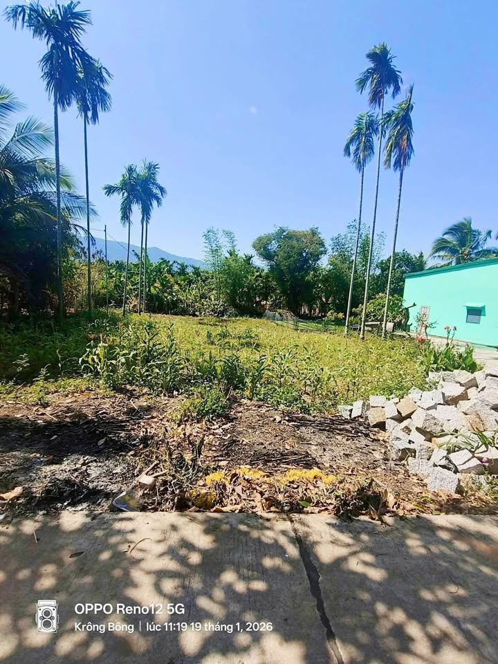 Đất nền 800m² khối 2 thị trấn Krông Bông chỉ 60 tỷ - Cơ hội đầu tư hấp dẫn!