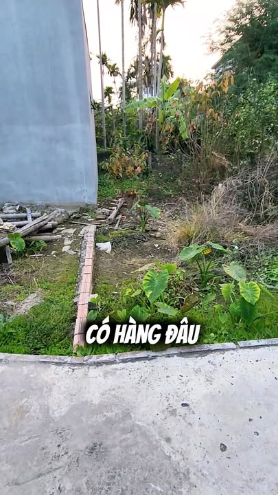 Đất nền Cát Vũ Tràng Cát 42m² giá 1.29 tỷ - Sổ đỏ chính chủ, ô tô vào tận ngõ!