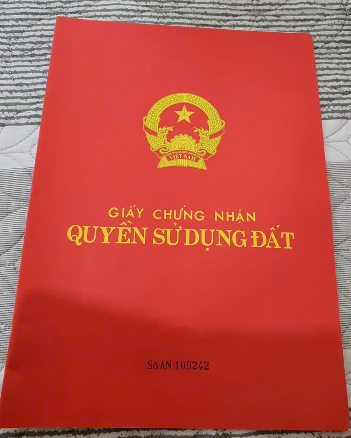 Đất thổ cư 127m² Phượng Nghĩa - Đầu tư sinh lời chỉ 8.2 tỷ!