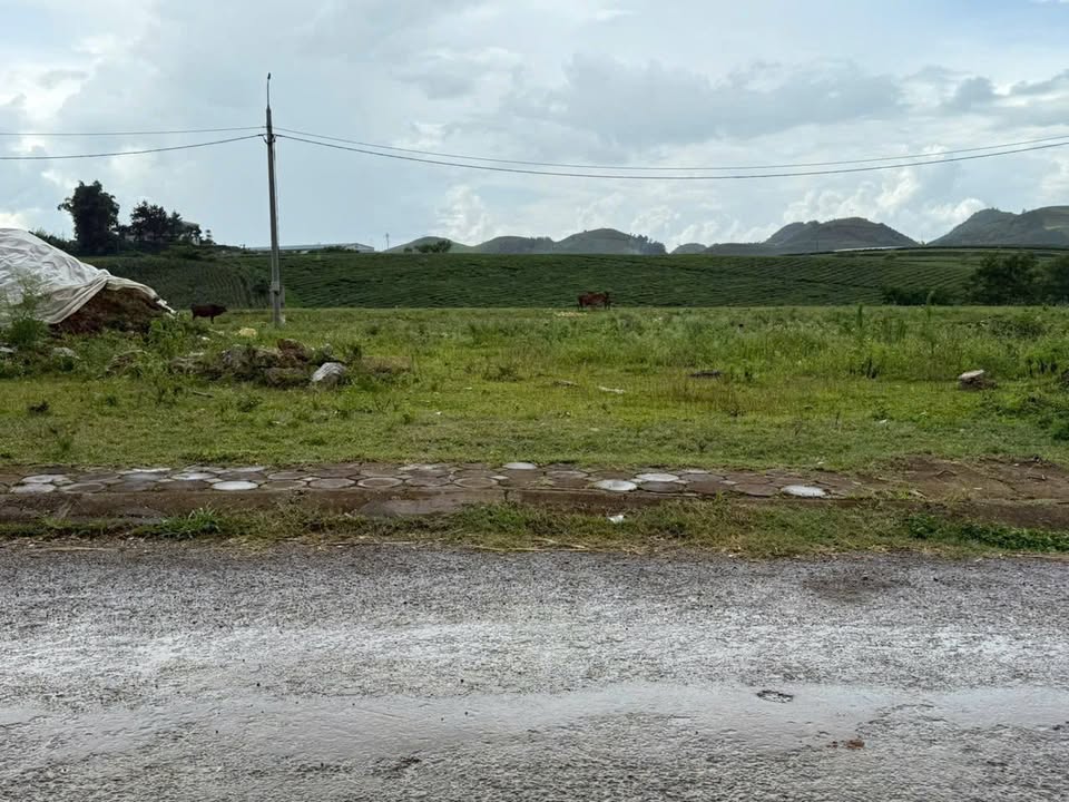 Đất thổ cư Vân Hồ 200m² giá thỏa thuận - Ô tô vào tận đất!