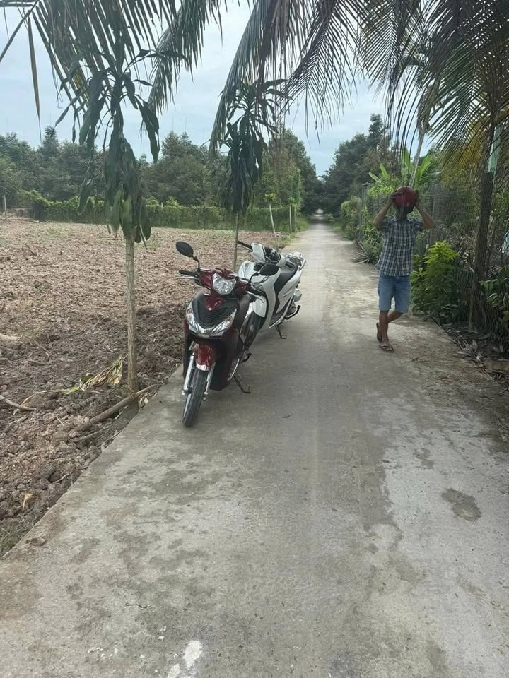 Đất nền mặt tiền Đường Dal 3m, Phú Cường, 310m² giá 400 triệu - Cơ hội đầu tư hấp dẫn!