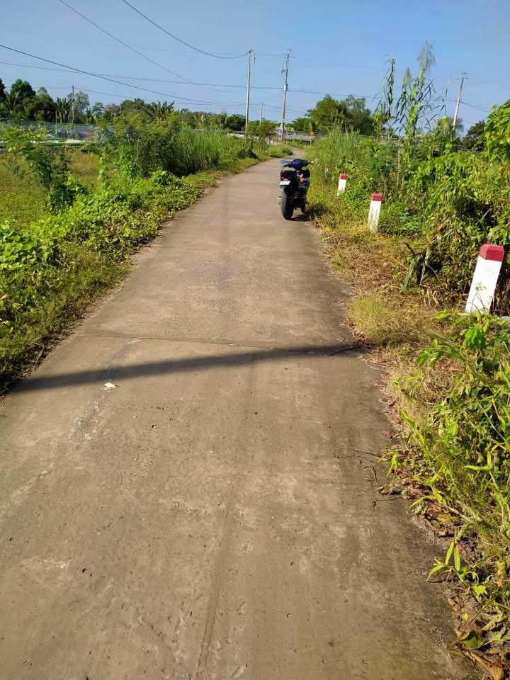 Đất nền 90.000m² Tân Phú Đông, Sa Đéc - Mặt tiền đường Đanh, giá chỉ 3.6 tỷ!