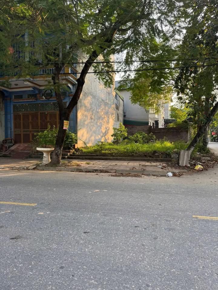 Đất nền 2 mặt tiền Trục 307, Huyện Lập Thạch, 160m² - Vị trí kinh doanh đắc địa!