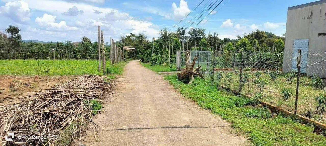 Đất nền Quỳnh Ngọc Bến Cát 240m² giá 235 triệu - Diện tích lý tưởng cho xây dựng