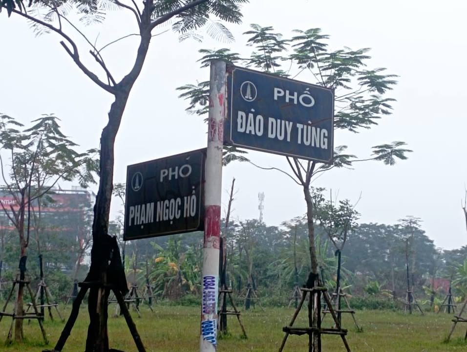 Đất nền góc đường Đào Duy Tùng và Phạm Ngọc Hồ, 88m² - Cơ hội đầu tư tuyệt vời!