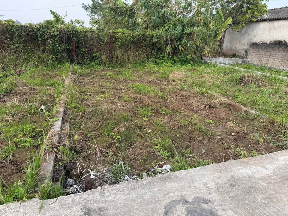 Đất Xâm Xuyên, Khoái Châu 50m² giá 3 tỷ - Có tiềm năng phát triển mạnh mẽ!