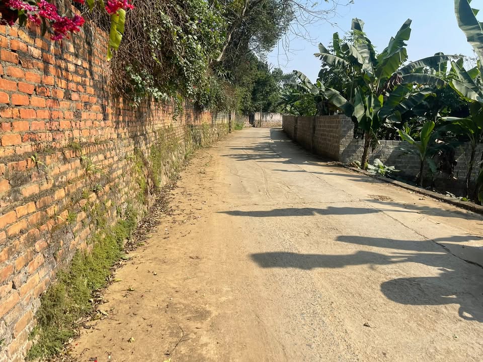 Đất thổ cư 102m² tại xã Phú Cát - Giá chỉ 2 tỷ - Sổ đỏ chính chủ!