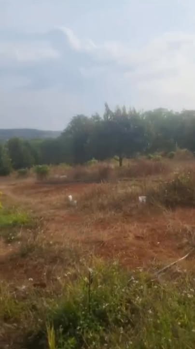 Đất nông nghiệp 1.5ha tại xã Đồng Nai, giá 2.7 tỷ - Đầu tư sinh lời cao!