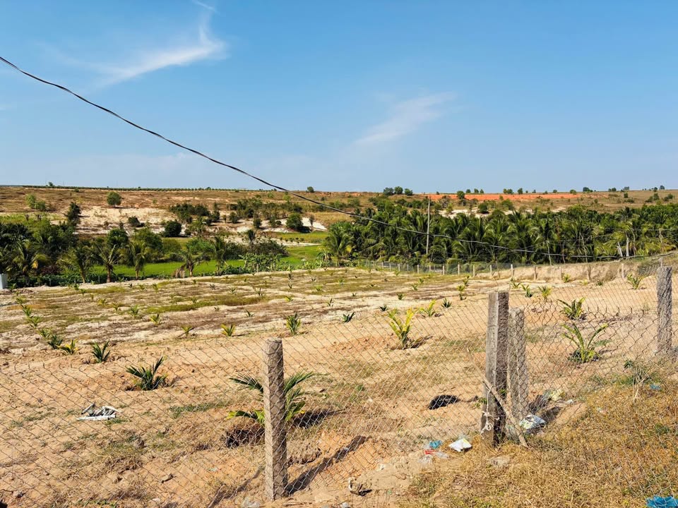 Đất nền Phan Thiết 4300m² giá chỉ 3.003 tỷ - Gần biển, tiềm năng phát triển!