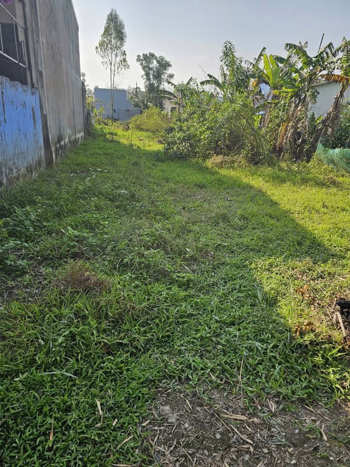 Lô đất Hòa Tiến – Hòa Vang – Đà Nẵng 150m² giá 1.6 tỷ - Sổ đỏ chính chủ!