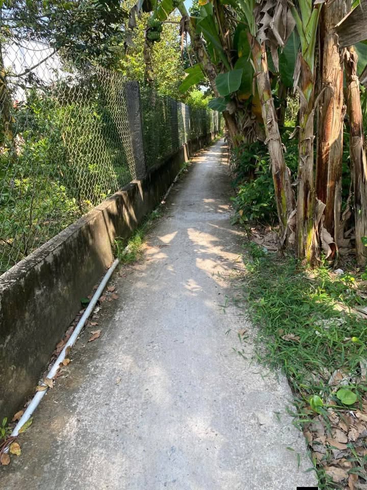 Đất vườn 4014m² tại Xã Long Thới, Huyện Chợ Lách - Cơ hội đầu tư tuyệt vời!