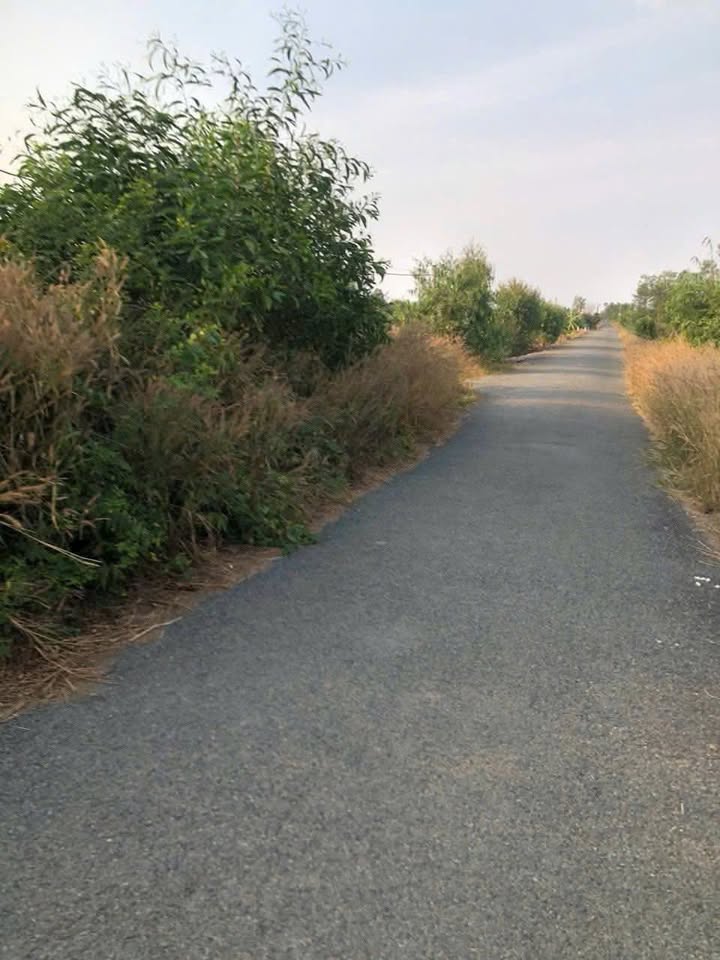 Đất nền Tân Hòa Tây 10.000m² giá 2 tỷ - Đầu tư sinh lời ngay!