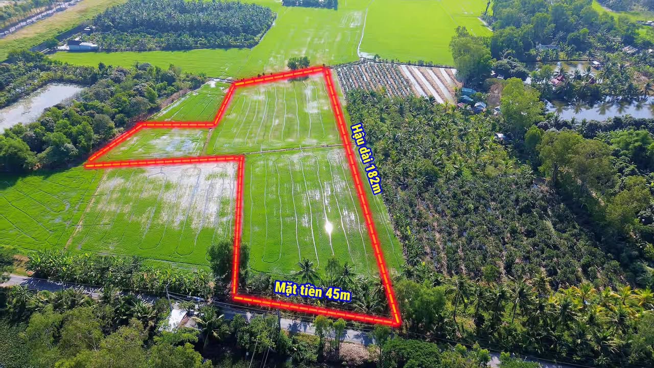 Đất lúa 8,3 công mặt tiền đường Huỳnh Văn Thu, Châu Đốc - Giá hấp dẫn!