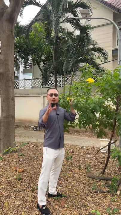 Nhà mặt tiền đường 24 Phường 11 Quận 6 diện tích 96m² giá 13 tỷ - Cơ hội đầu tư sinh lời!