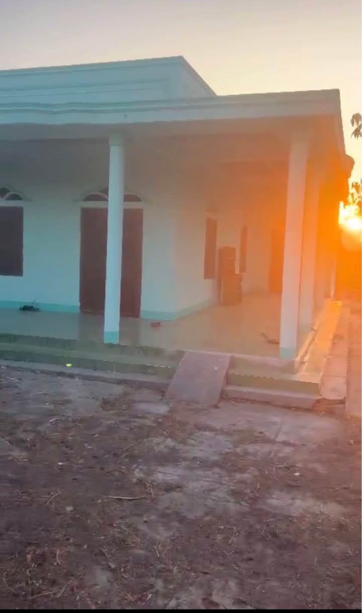 Đất thổ cư 200m² mặt tiền đường nhựa TT Ma Lâm 832m² - Giá 1.6 tỷ có thương lượng!