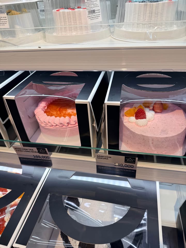 Đất nền 100m² tại Thuận Điền, Hàm Thuận Nam giá 90 triệu - Cơ hội đầu tư hấp dẫn!