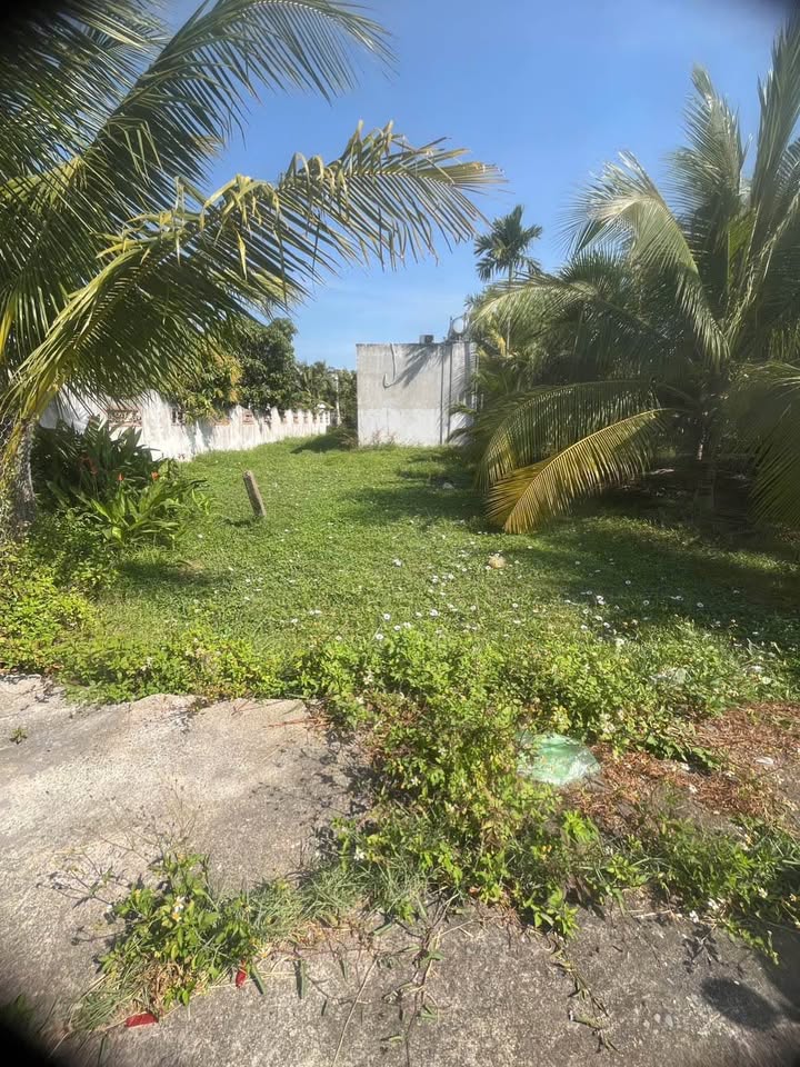 Đất nền Tiến Hòa - Tiến Lợi 75m² giá chỉ 330 triệu - Đầu tư sinh lời ngay!