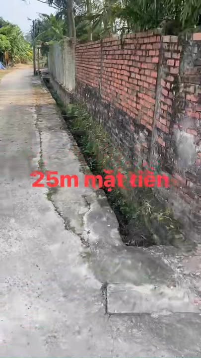 Đất nền Tràng An, Hạ Long 560m² giá thương lượng - Cơ hội đầu tư tuyệt vời!