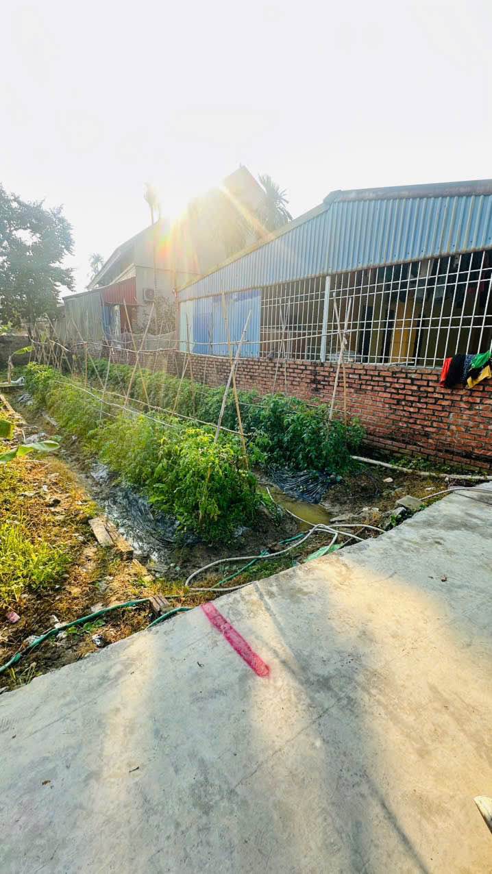 Lô đất đẹp tại TDP Kiều Hạ 2 - Phường An Dương - 60m² giá 800 triệu - Đầu tư sinh lời nhanh!