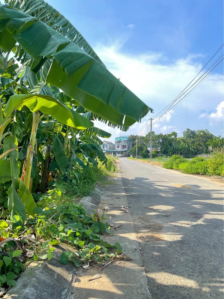 Lô đất thổ cư tại phường Minh Xuân, Tuyên Quang 430m² - Đầu tư sinh lời ngay!