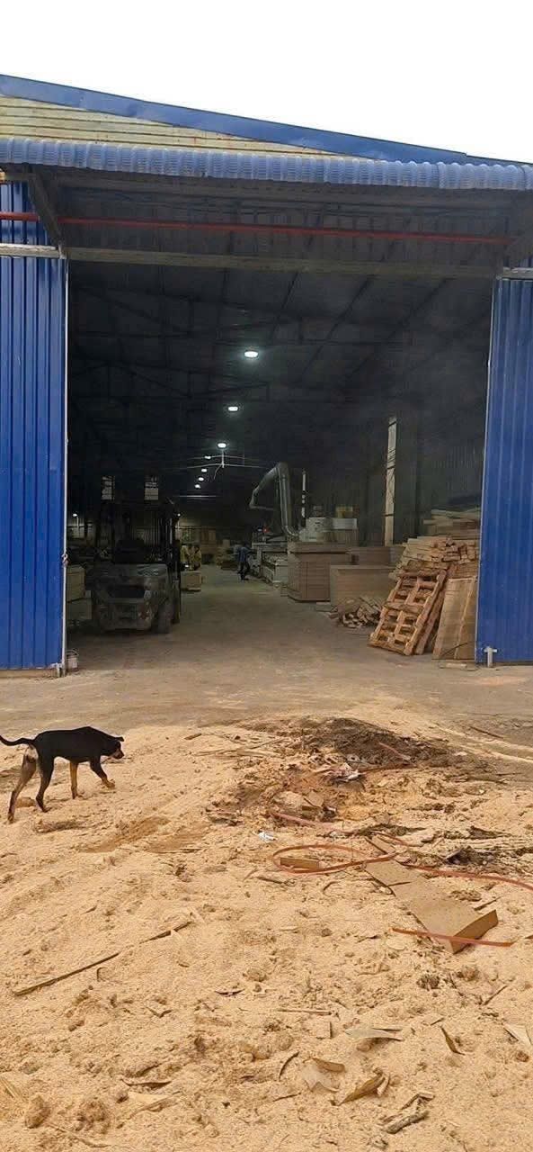 Cho thuê xưởng 1000m² tại phường Hội Nghĩa, Tân Uyên - Giá 55 triệu/tháng, thuận tiện cho mọi ngành nghề!