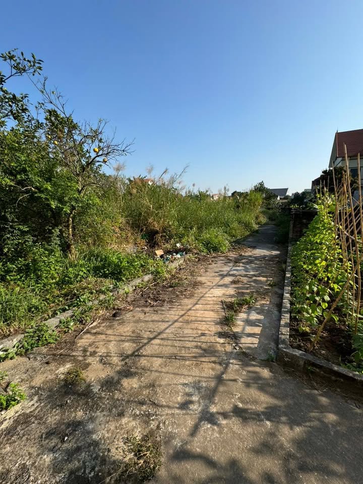 Lô đất đẹp Xâm Xuyên, Hồng Vân 43.4m² - Tiềm năng tăng giá cao!