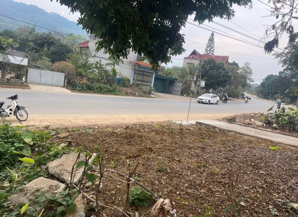 Đất thổ cư mặt đường Thống Nhất 310m² giá 1.68 tỷ - Cơ hội đầu tư tuyệt vời!